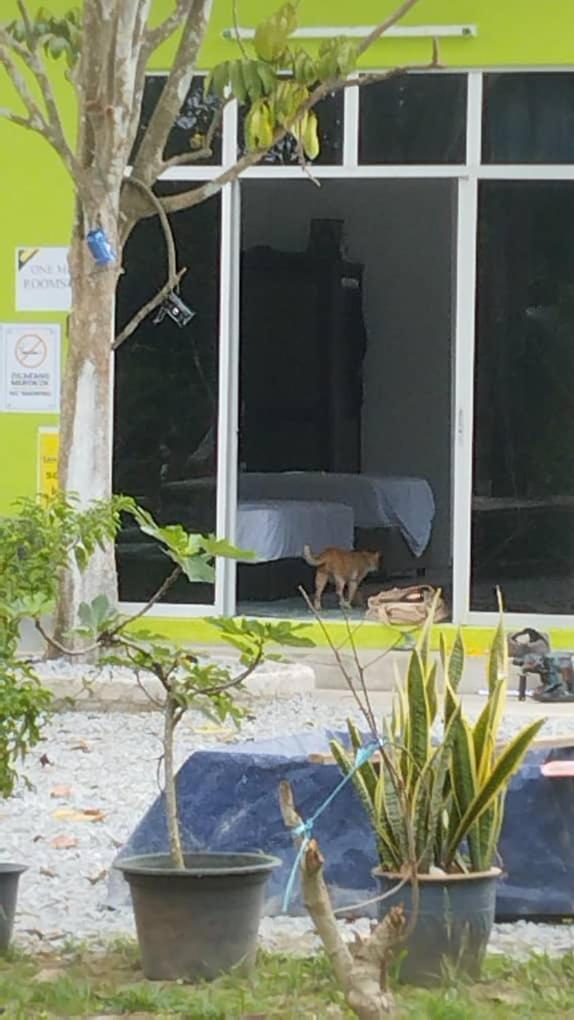 One Mek Studio Bachok Εξωτερικό φωτογραφία